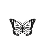 Métamorphose
