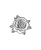 Pack Fleur & Nature