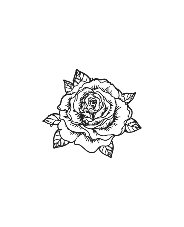 Pack Fleur & Nature