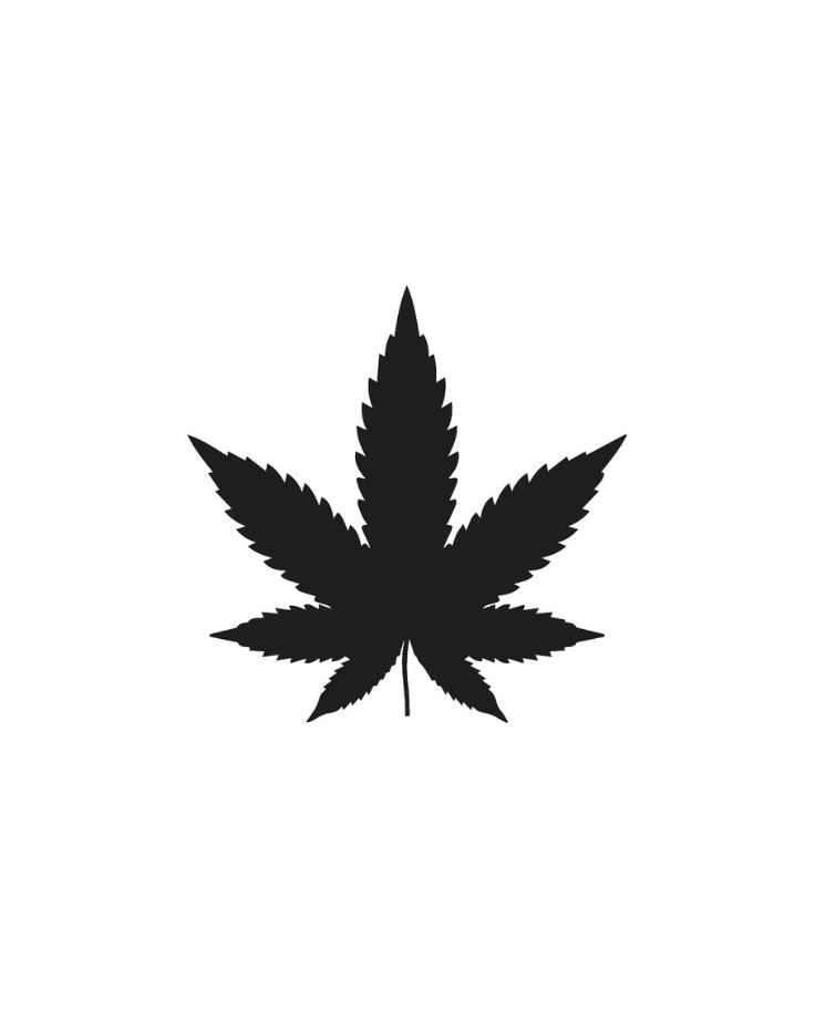 Zenabis