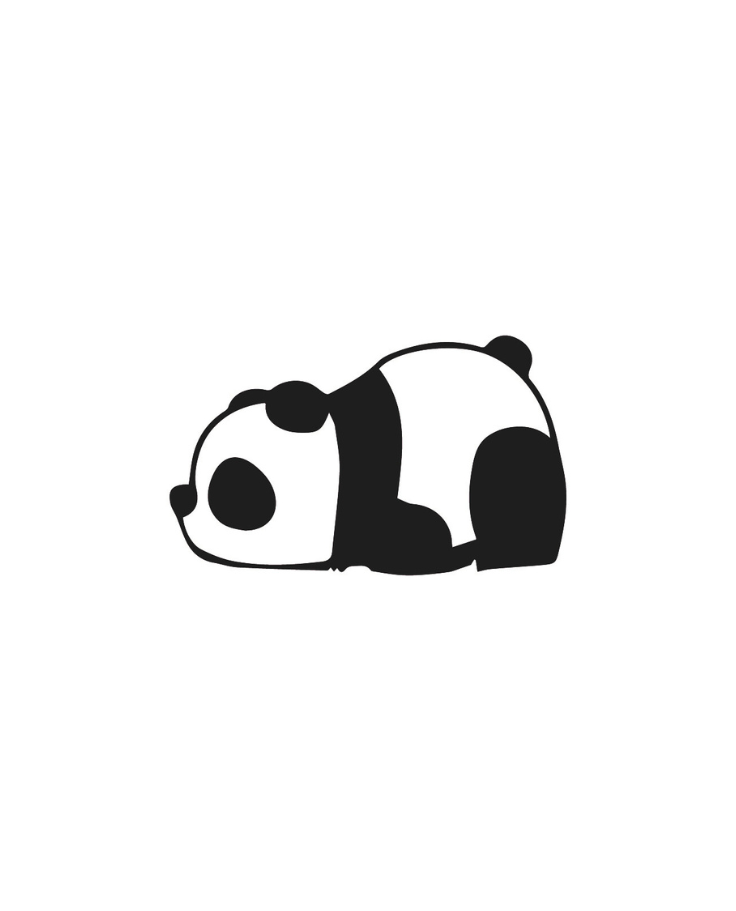 Pandi-Panda