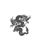 Shuang Long