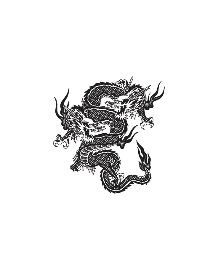 Shuang Long