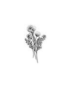 Bouquet Sauvage