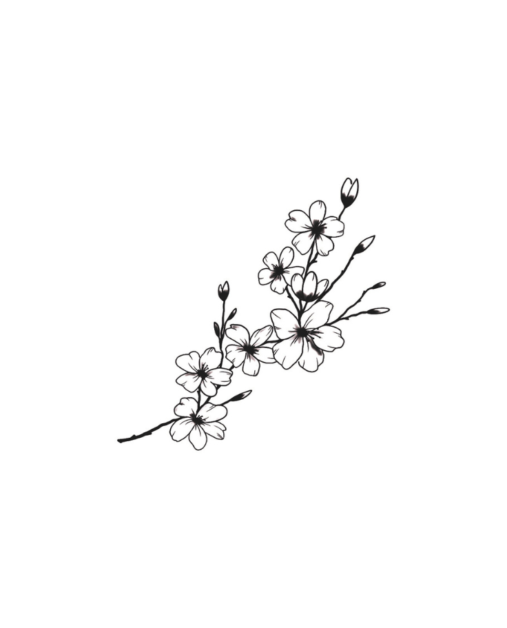 Hanami