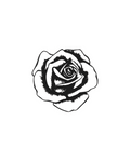 Calice Rosé