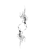 L'harmonie des koi