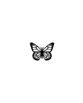 Noir Papillon